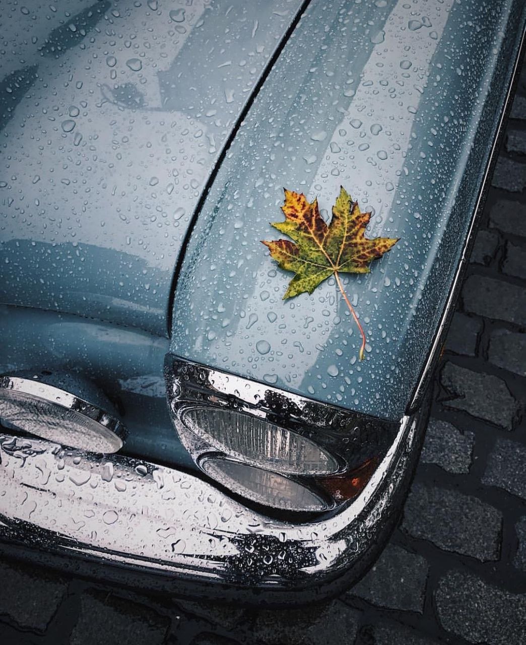 irs01 s3old 10531509713926003233